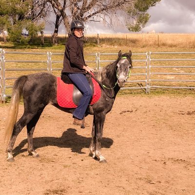 Profile Picture of Lisa Blacker (@LisaBlacker2) on Twitter