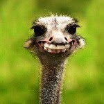 Profile Picture of danielfranco1 (@danielfranco1) on Instagram