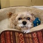 Profile Picture of Marlene Hodges Patel (@5mpatel) on Instagram