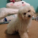 Addison Perry - Instagram Profile Picture of Addison Perry (@addison_perry08) on Instagram