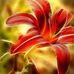 Profile Picture of Susanne Füßler (@Susanne-Füßler) on Facebook