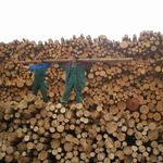 Profile Picture of cristy brock (@cristy4963sg) on Instagram