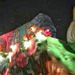Profile Picture of Charles Hassinger (@chashassjr) on Pinterest