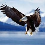 Profile Picture of John Peter Flett (@johnpeterflett) on Instagram