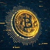 Profile Picture of BTC (@B190) on Tiktok