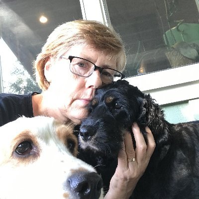 Profile Picture of Caroline Haythornthwaite (@hthwaite) on Twitter