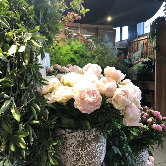 Profile Picture of Kim Devun (@kddevun) on Poshmark