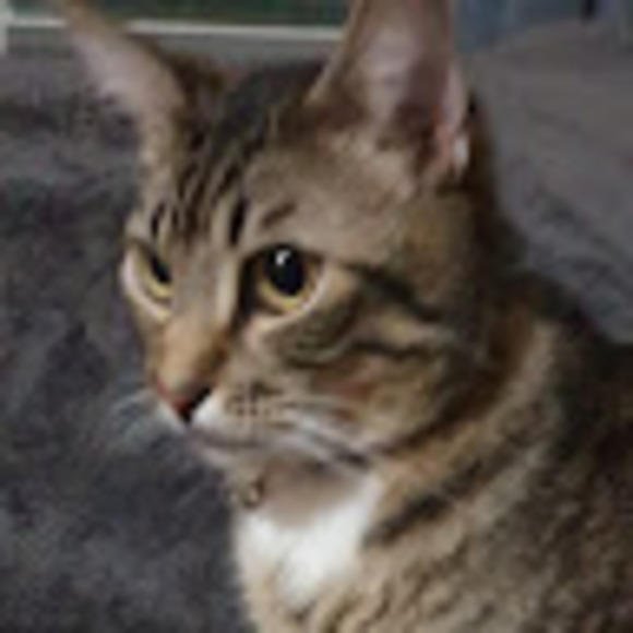 Profile Picture of Huy Vu (@tylervu999) on Poshmark