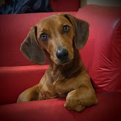 Profile Picture of ROXY RODRIGUEZ (@roxyrodriguez5460) on Youtube