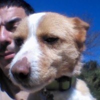 Profile Picture of Simón Alonso Sánchez (@simón-alonso-sánchez) on Quora