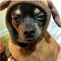 Profile Picture of Hugo Veliz (@hugo-veliz-6) on Quora