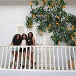 Profile Picture of lara & perry & Amina (@the_crazy_triooo) on Instagram