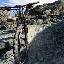 Profile Picture of Simon Burger (@Simon_Burger_) on Twitter