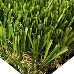 Profile Picture of Jared Scarth (@turfusa) on Instagram