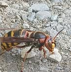 Profile Picture of Yarik Boychuk (@Yarik-Boychuk) on Facebook