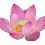 Profile Picture of Julia Tseng (@juliasccc) on Youtube