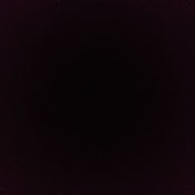 Profile Picture of Joshua Roman (@JoshuaRoman-r4j9j) on Youtube