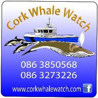 Profile Picture of Cork Whale Watch (@CorkWhaleWatch) on Twitter