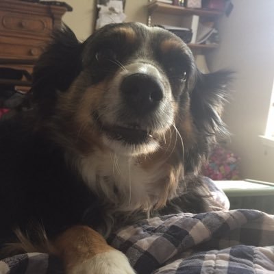 Profile Picture of Brianfournier (@Brianfournier52) on Twitter
