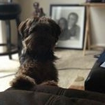 Profile Picture of Byron England (@englandbyron) on Instagram