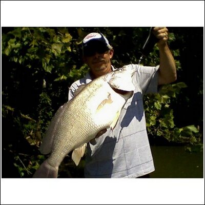 Profile Picture of Mark Niblett (@mrnibbie) on Twitter