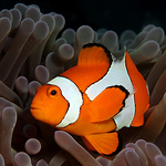 Profile Picture of Catherine Marshall (@cathm2) on Flickr