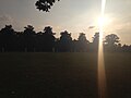 Profile Picture of Ham and Petersham Cricket Clubon Wikipedia