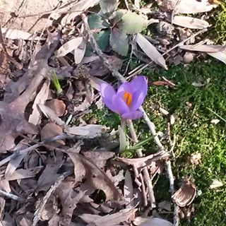 Profile Picture of James Yerkey (@james.yerkey.1) on Facebook