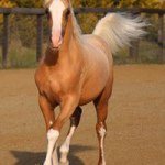 Profile Picture of Peter Scanlon (@pete_scanlon) on Instagram