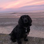 Profile Picture of Steven Bevan (@stevenbevan71) on Instagram