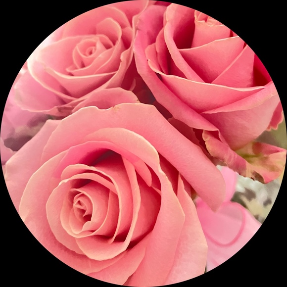 Shamez Rose - Poshmark Profile Picture of Shamez Rose (@sazami0715) on Poshmark