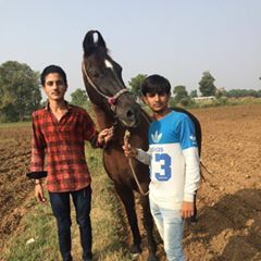 Profile Picture of Bindul Desai (@binduldesai) on Tiktok