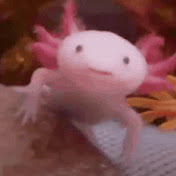 Profile Picture of Joyce Ko (@joyceko7384) on Youtube