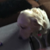 Profile Picture of Charlene Hansen (@charlenehansen4031) on Youtube