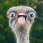 Profile Picture of Edoardo Tommasini (@edo_tommasini) on Instagram