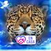 Profile Picture of Iván Arredondo (@ivan.arredondo.79069323) on Facebook
