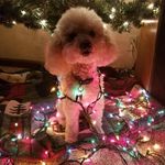 Profile Picture of Kim Alsup (@kim.alsup.58) on Instagram