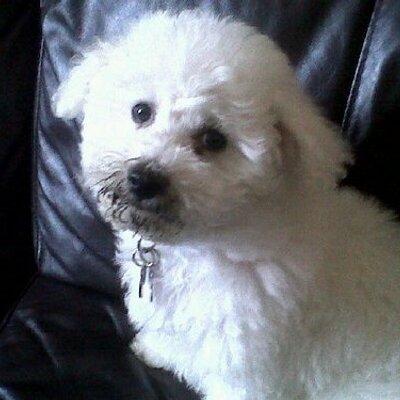 Profile Picture of Joe Henshaw (@Joehmufc4eva) on Twitter