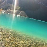 Profile Picture of Paul Steege (@paulsteege) on Pinterest