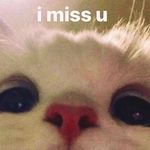 Profile Picture of lisa_limbu<3♡ (@lizza_subba17) on Instagram