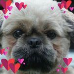 Profile Picture of Sarah Wilby (@wilby_sarah) on Instagram