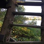 Profile Picture of Spammmm Main:ian_69_hauck (@ian_the_hawk_123) on Instagram