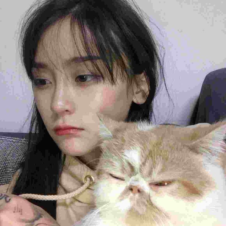 Profile Picture of pauletteclaytor (@pauletteclaytor) on Tiktok