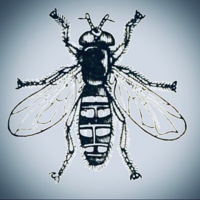 Profile Picture of JoAnn Houser (@houser_joann) on Twitter