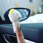 Profile Picture of Jeffery (@jeffery_ze_best_) on Instagram