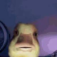 Profile Picture of George Gouge (@george-gouge-1) on Quora