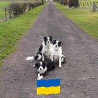 Profile Picture of Morag Smith (@morag-smith-18) on Quora