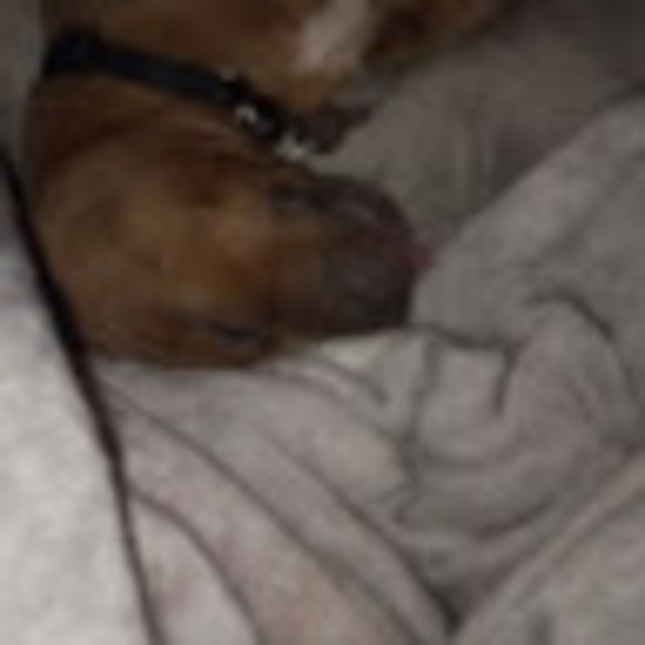 Profile Picture of Thomas Ehrlich (@thomas_ehrlich) on Poshmark