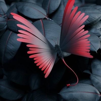 Profile Picture of Peter Helbig (@Cph1978) on Twitter