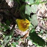 Profile Picture of Dawn Willingham (@dbw68) on Instagram